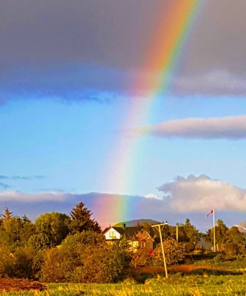 Лето Радуга