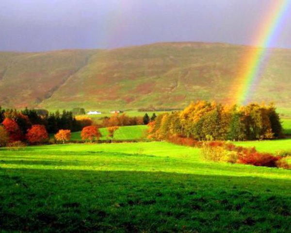 После дождя светит солнце