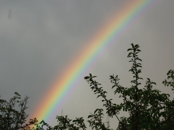 Изображение радуги после дождя