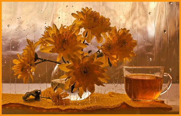 Дождливое утро осенью