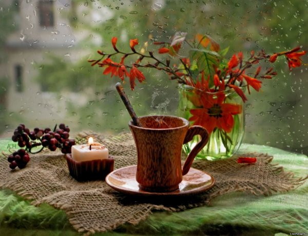 Осень дождь чай