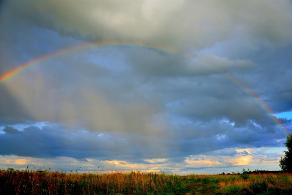 Фото радуги в небе после дождя