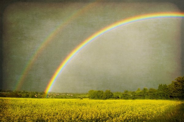 Двойная Радуга
