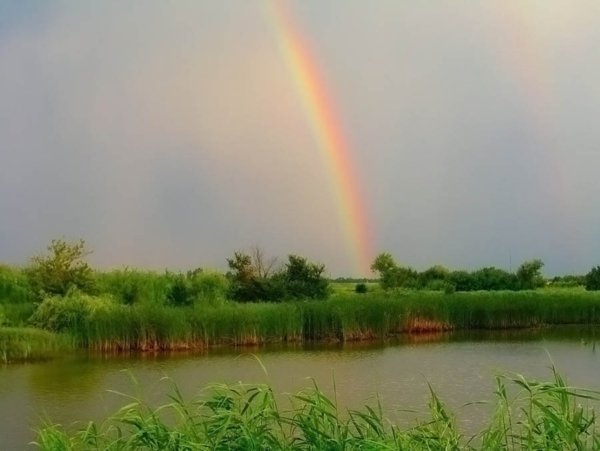 Радуга с дождем у реки