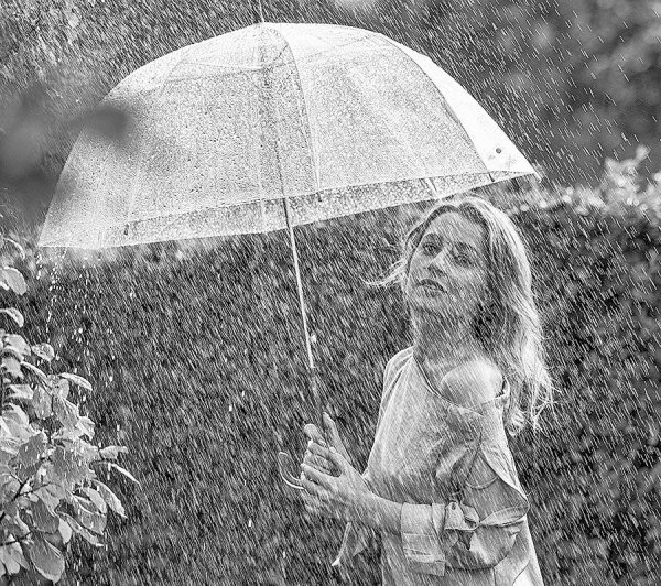 Летний дождь