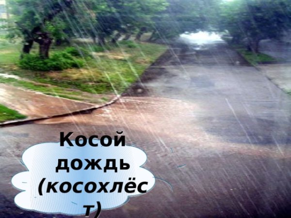 Косые дожди