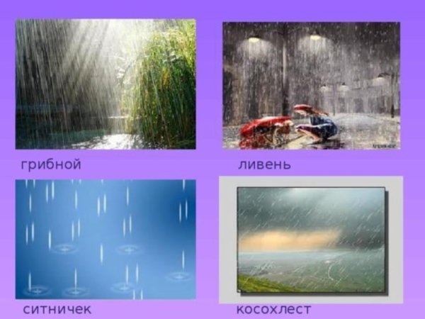 Ливень ситничек косохлёст