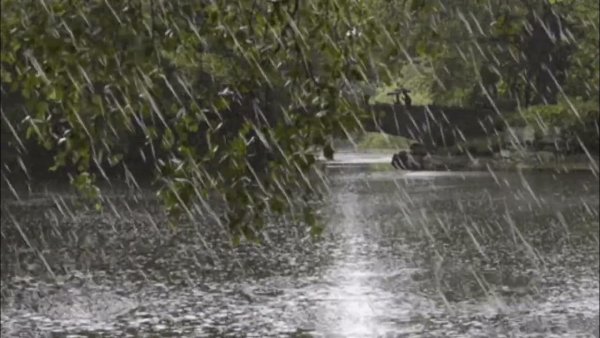 Видео как идет дождь ветер