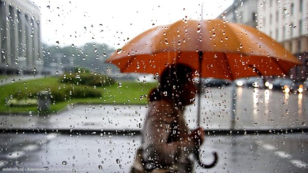 Теплый дождь