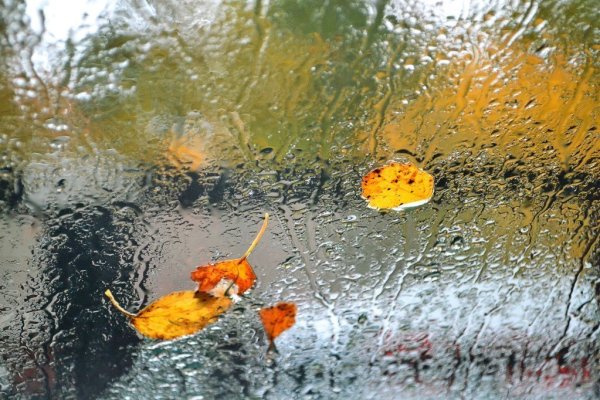 Небольшой дождь