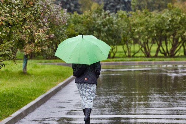 Сильный дождь