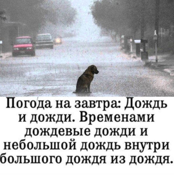 Дожди внутри большого дождя