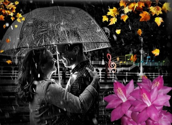 Влюбленные под дождем