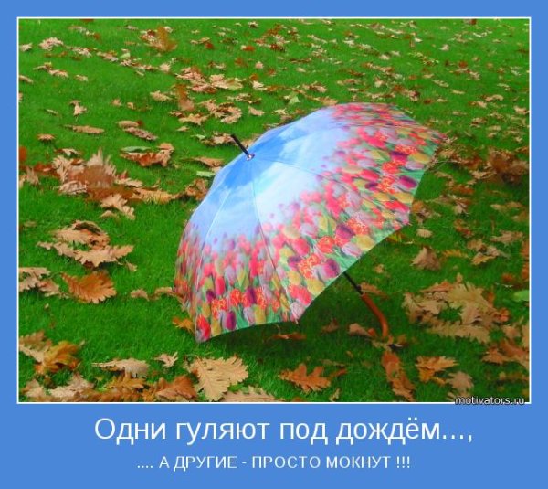 Смешные фразы про зонт