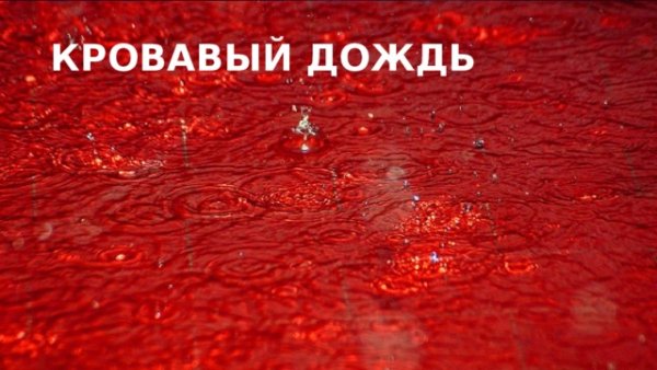 Кровавый дождь природное явление