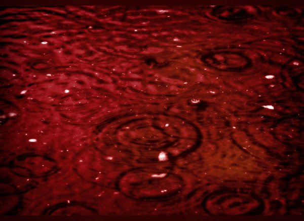 Красный Кровавый дождь Керала Индия 2001 год