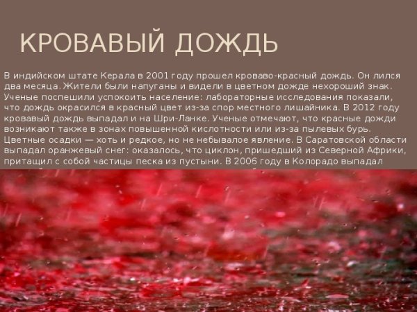 Кровавый дождь природное явление