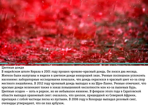 Красный дождь в природе