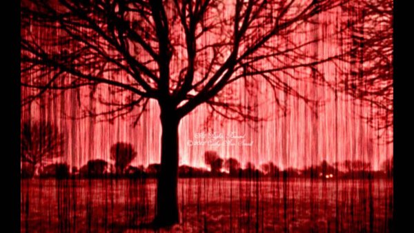 Кровавый дождь Эстетика