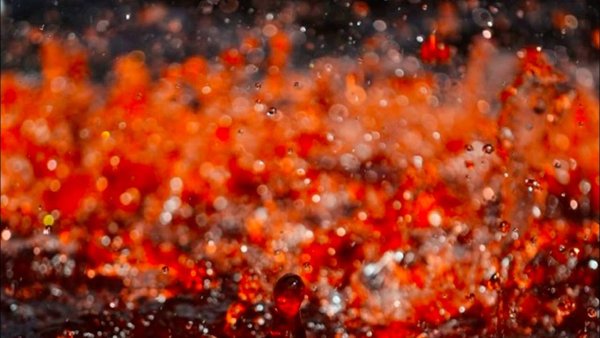 Кровавый дождь природное явление