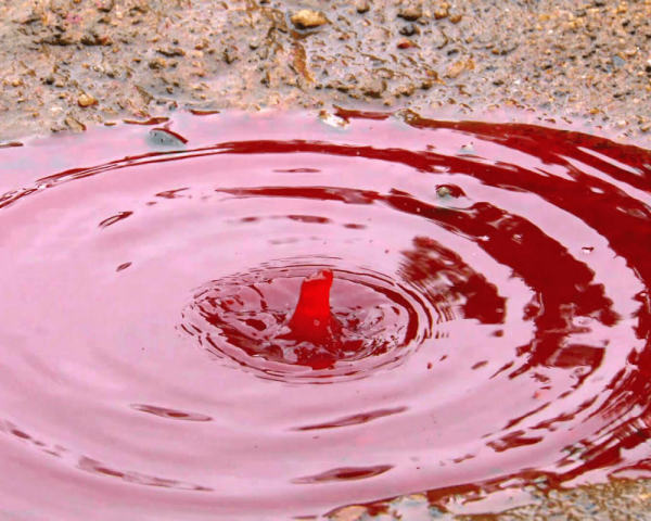 Кровавый дождь природное явление