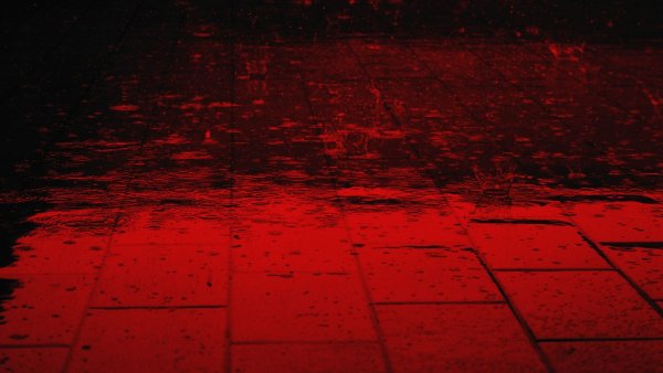 Кровавый дождь в Колумбии 2008