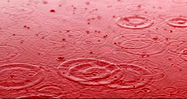 Кровавый дождь природное явление