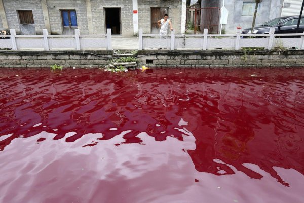 Красный дождь в 2001 году в Индии