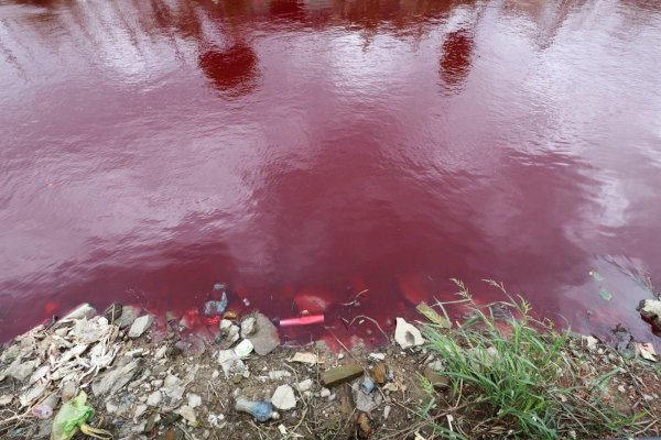 Красное озеро Хакасия майна