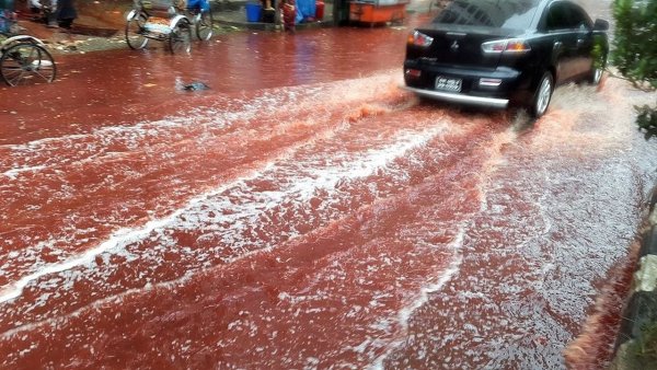 Красный дождь в 2001 году в Индии