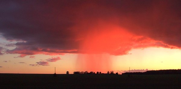 Кровавый дождь в Индии 2001