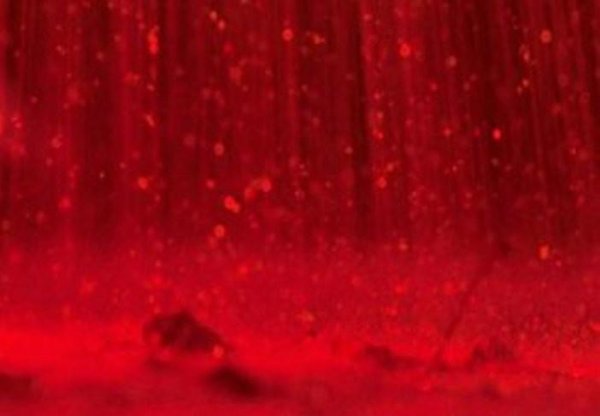 Кровавый дождь явление природы