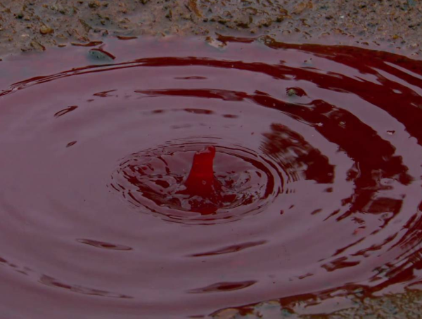 Кровавый дождь в Колумбии 2008