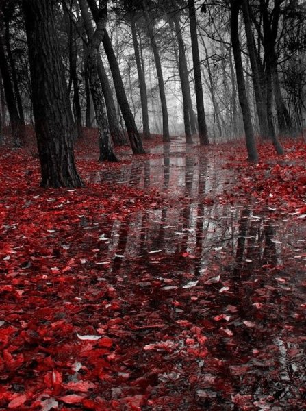 Страшная осень