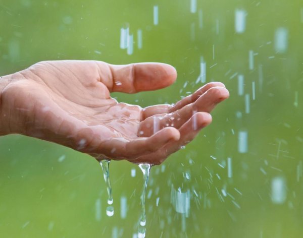 Капля воды в ладонях