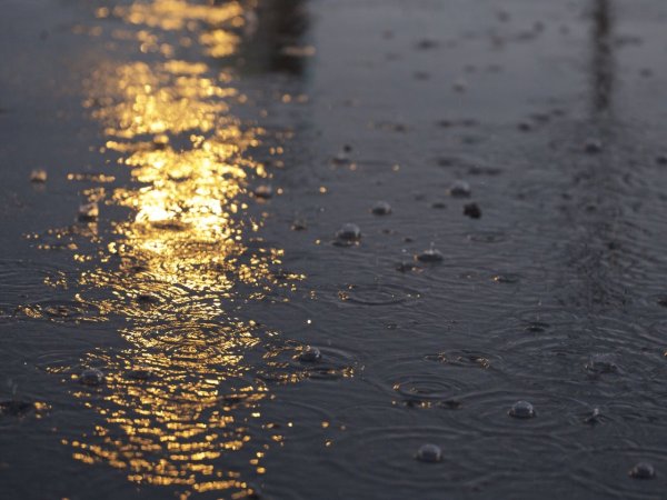 Дождевая вода