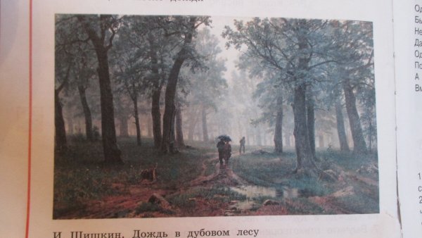 Иван Шишкин дождь в Дубовом лесу