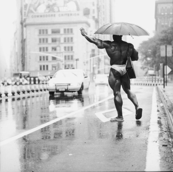 Бегут под дождем