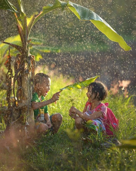 Летний дождь