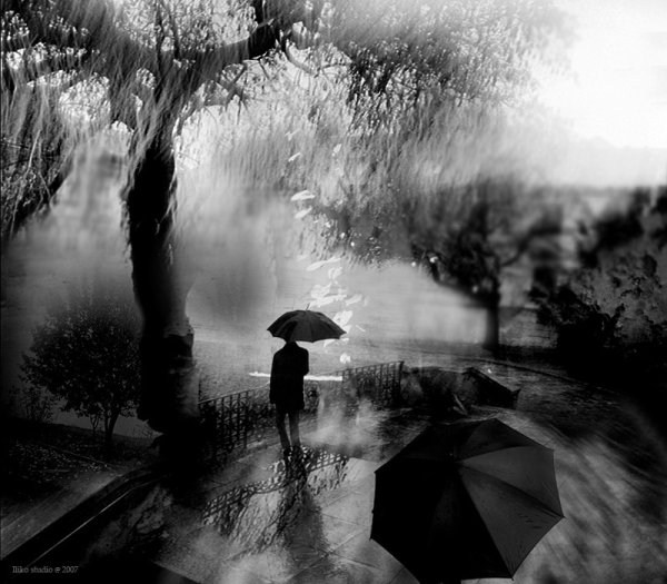 Дождь серость