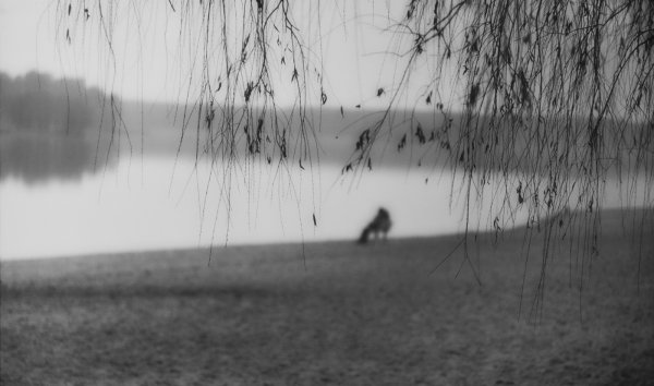 Дождь одиночество