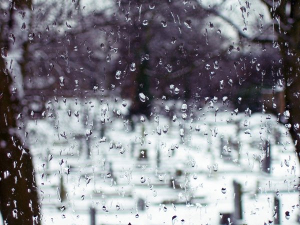 Снег с дождем окно