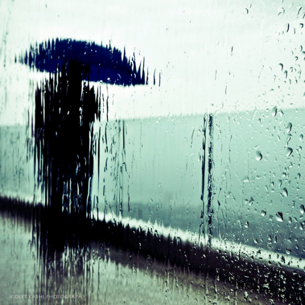 Печальный дождь