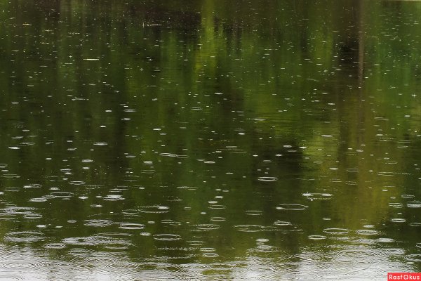 Моросящий дождь