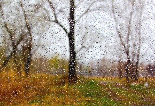 Осенняя морось