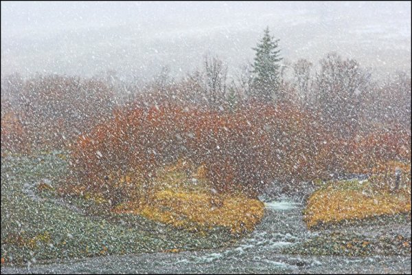 Осень снег с дождем