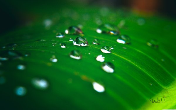 Обои на рабочий стол капли воды