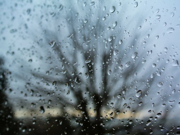 Зима снег с дождем