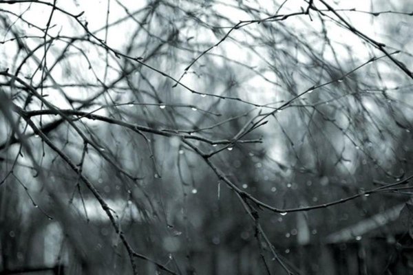 Дождь в декабре картинки