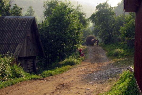 Дождь в деревне